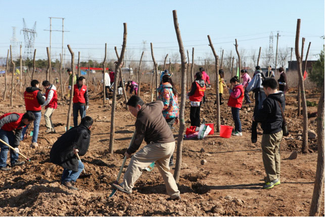 Voluntary Tree Planting